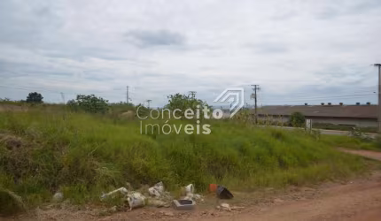 Terrenos para Locação Bairro Los Angeles
