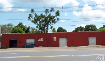 Box Comercial - Bairro Piriquitos - Rodovia BR 376