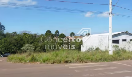 Terreno de Esquina - Cará-Cará