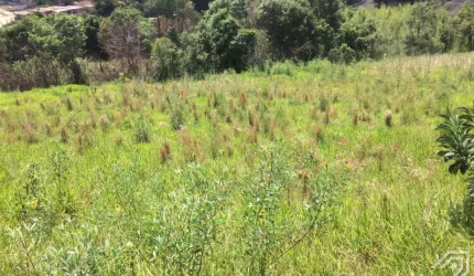 Terreno - Bairro Chapada