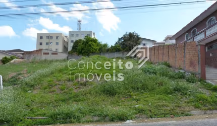 Terreno de 462,00 m² - Uvaranas