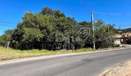 Terreno com 1.128m² - Palmeirinha