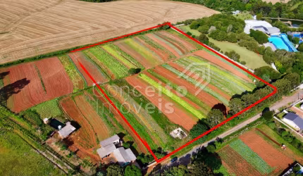Terreno com 24.200,00 m² - Periquitos - Vila Borato