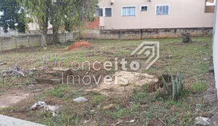 Terreno -  Ronda