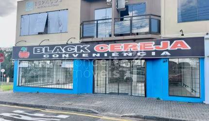 Loja / Ponto Comercial - Centro - Carambeí-Pr