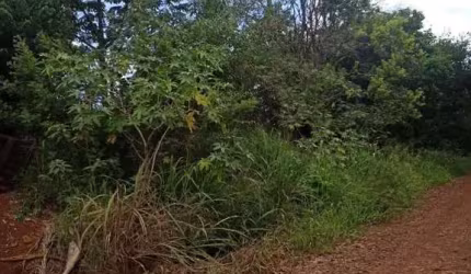 Chácara para Venda em Cascavel, Lago Azul