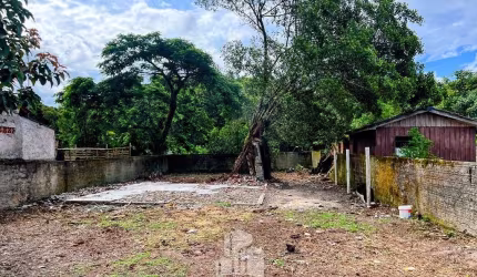 Terreno plaino e limpo em Santa Terezinha