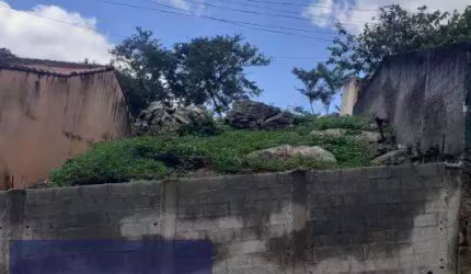 Terreno Terreno Urbano São Sebastião - SP - São Francisco