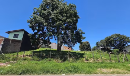 Terreno a venda com  847m2 - Guarani Colombo