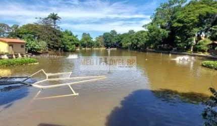 Casa com 4 dormitórios à venda, 290 m² por R$ 299.990,00 - Independência - Ribeirão Preto/SP