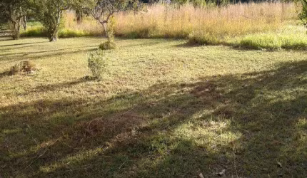 SMPW 09 - Excelente terreno com 20.000m2, totalmente plano