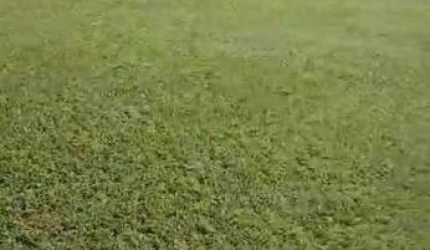 SMPW 11 -  Terreno Plano com 20.000m2, casa de apoio e piscina !