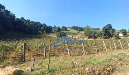 Chácara com 4 dormitórios à venda, 61256 m² por R$ 3.370.600,00 - Abadia - Louveira/SP