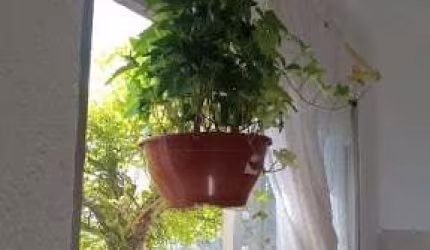 Sobrado com 3 dormitórios à venda, 200 m² por R$ 1.200.000,00 - Saúde - São Paulo/SP