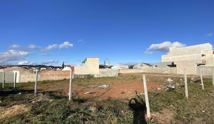 Terreno com 162,58m² no Pineville