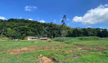 Sítio a venda em Luiz Alves no Ribeirão Máximo