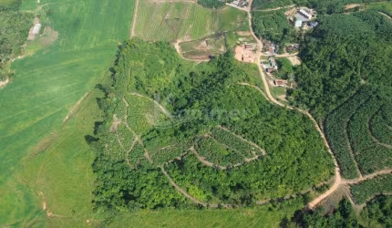 Terreno rural a venda em Luiz alves com 129.675m2, quase 13 hectares de área total, praticamente 100% aproveitável para plantio.