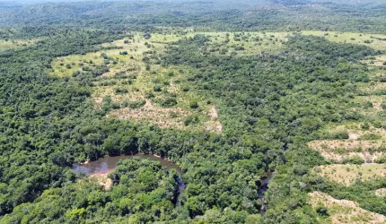 FAZENDA 1.000 Hectares - Região do Manso