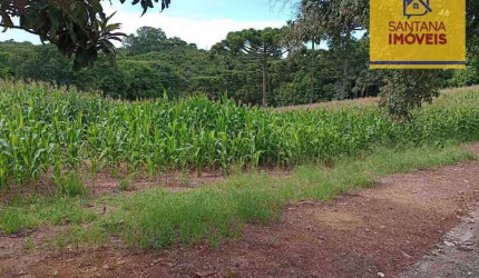 Terreno à venda, 12100 m² por R$ 800.000,00 - Rondinha - Campo Largo/PR