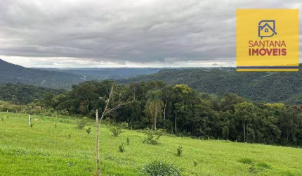 Chácara com 1 dormitório à venda, 20000 m² por R$ 590.000,00 - São Caetano - Balsa Nova/PR