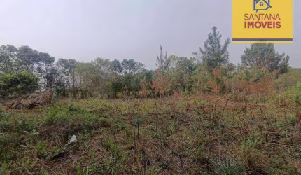 Terreno à venda, 985 m² por R$ 180.000 - Águas Claras - Campo Largo/PR