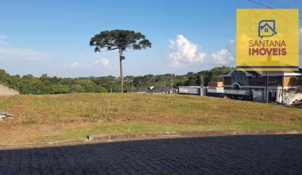 Terreno à venda, 6888 m² por R$ 1.400.000 - Fazendinha - Campo Largo/PR