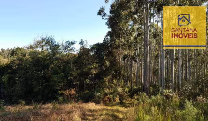 Área à venda, 243888 m² por R$ 700.000,00 - Três Córregos - Campo Largo/PR