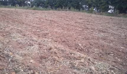 Terreno em Capela do Alto