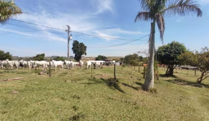 Sitio em Itapetininga 10 alqueires