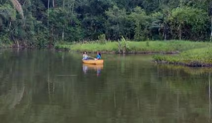 Sitio em Tapiraí