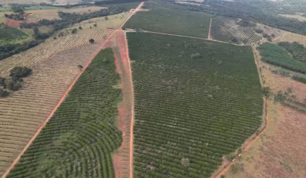 Fazenda de Laranja em Itapetininga