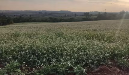 Fazenda em Itapetininga