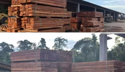 FAZENDA COM 101 mil HECTARES NO ESTADO DE MATO GROSSO