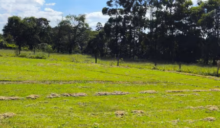 Sitio produção grama Angatuba