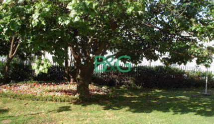 Terreno à venda, 600 m² por R$ 9.990.000,00 - Sumarezinho - São Paulo/SP
