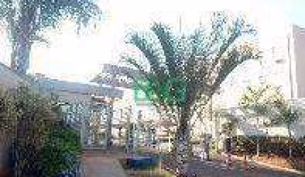 Apartamento com 2 dormitórios à venda, 43 m² por R$ 87.819,45 - Jardim Heitor Rigon - Ribeirão Preto/SP