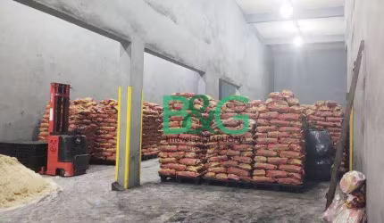 Galpão à venda, 566 m² por R$ 2.200.000 - Itaquera - São Paulo/SP
