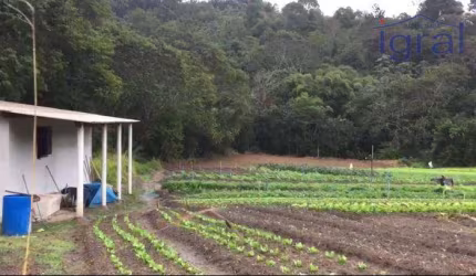Sitio em Piracaia com 8.000m²  R$ 240.000,00 imóvel com plantação, edificação simples não finalizada apenas 15 km do centro.
