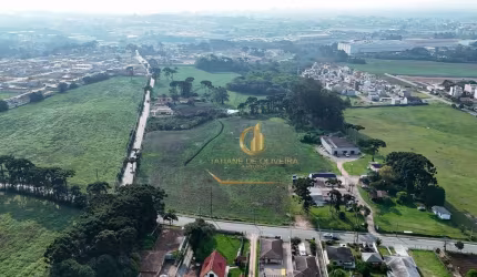 Área para alugar, 48000 m² por R$ 57.600,00/ano - Costeira - São José dos Pinhais/PR