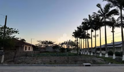 Terreno à venda na Loteamento Praia Grande, Praia do Ervino, São Francisco do Sul por R$ 300.000
