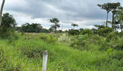 Terreno à venda na Loteamento Albatroz, Praia do Ervino, São Francisco do Sul por R$ 270.000