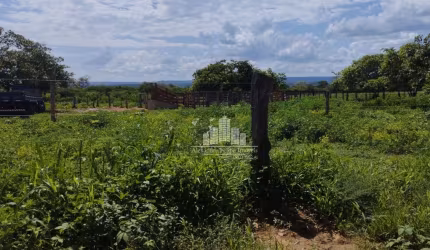 Chácara / sítio à venda na Av. Claudiomiro Vizoto, 779, Centro, Alvorada do Gurguéia por R$ 6.000.000