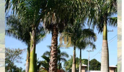 Terreno à venda, 1000 m² por R$ 230.000,00 - Rio Claro - Paraibuna/SP