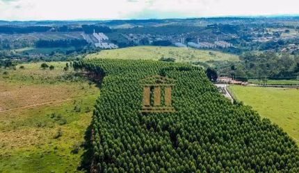 Área à venda, 78000 m² por R$ 7.000.000,00 - Jardim Santa Hermínia - São José dos Campos/SP