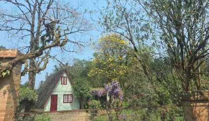 Lindo sitio em Angelina