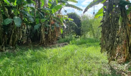 Área à venda, 11553 m² por R$ 800.000,00 - Cotia - Cotia/SP