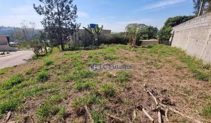Terreno à venda, 500 m² por R$ 320.000,00 - Cotia - Cotia/SP