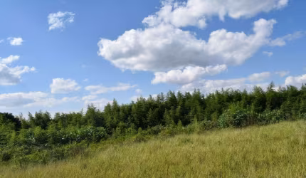Terreno à venda, 2205 m² por R$ 270.000,00 - Jardim das Oliveiras (Caucaia do Alto) - Cotia/SP