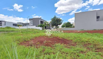 Terreno à venda, 342 m² por R$ 696.000,00 - Jardim Pau Brasil - Americana/SP