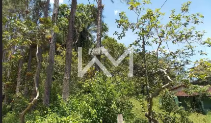 Sítio à venda, Bairro cachoeirinha, Juquiá, SP com 18,9 hectáres (250.000 metros quadrados )